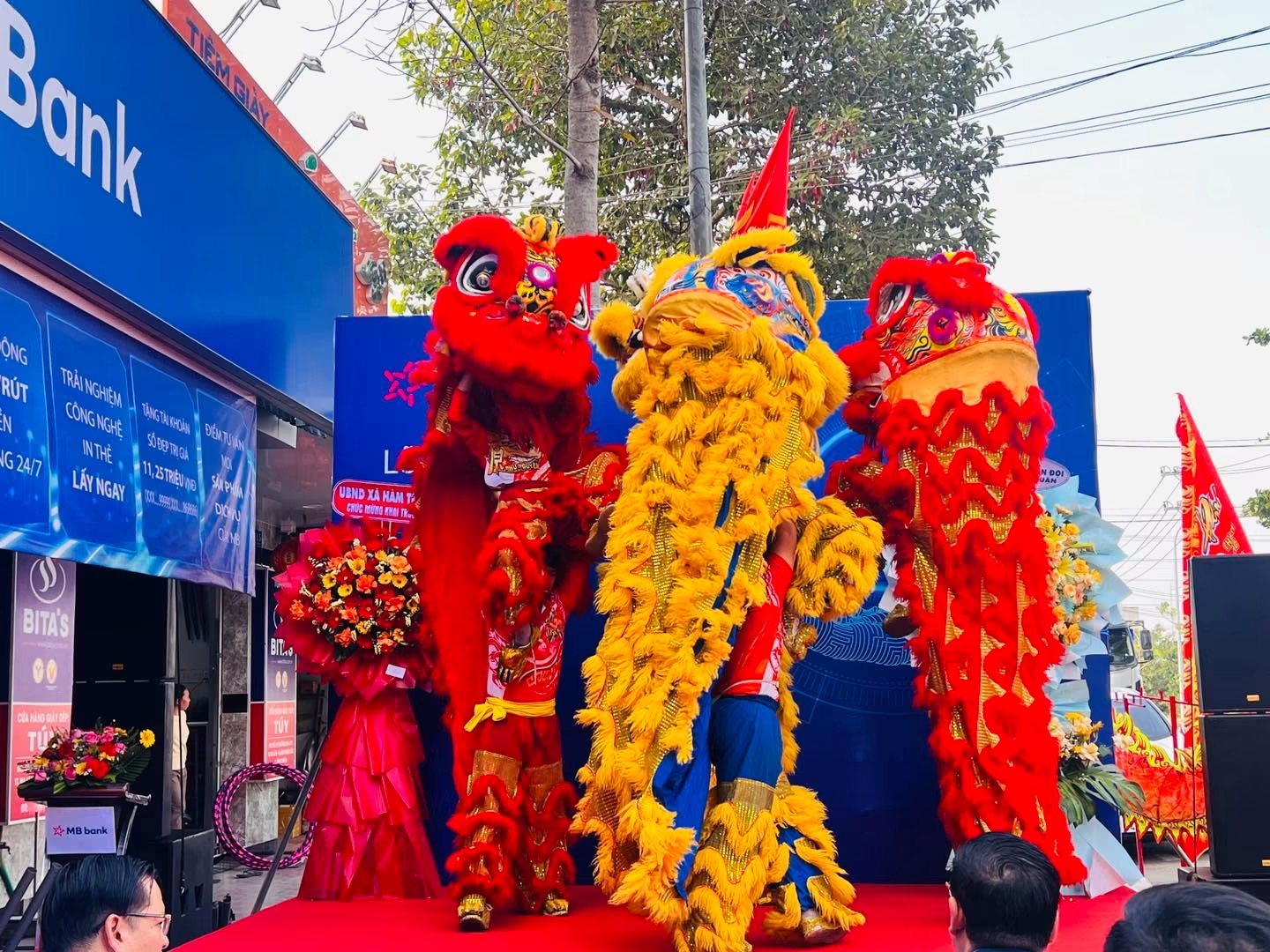 Đội Lân Sư Rồng