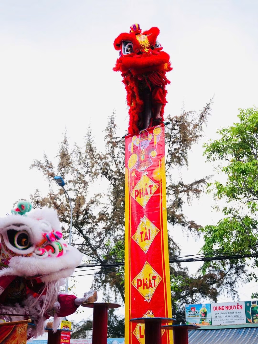 Đội Lân Sư Rồng