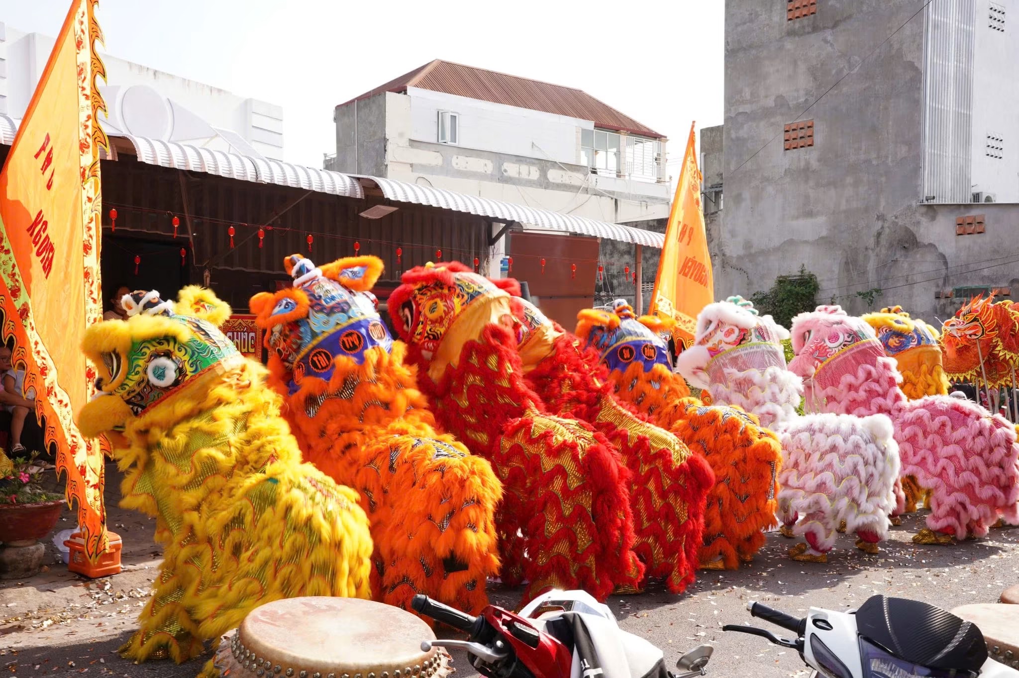 Đội Lân Sư Rồng