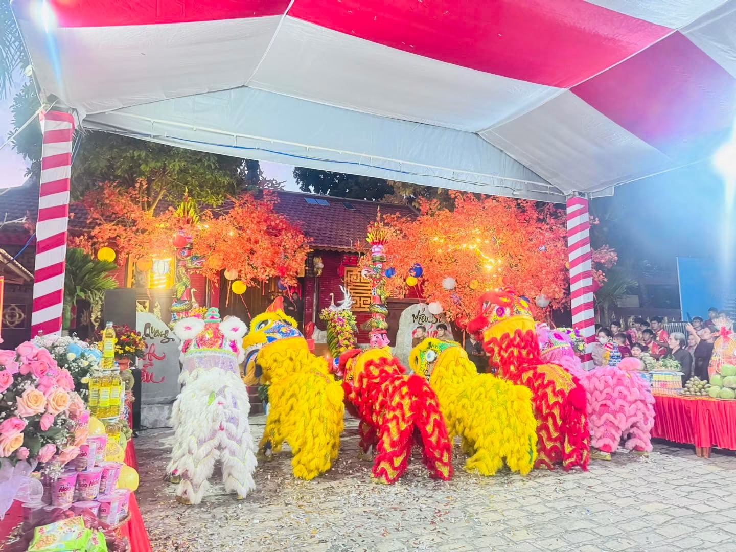 Đội Lân Sư Rồng
