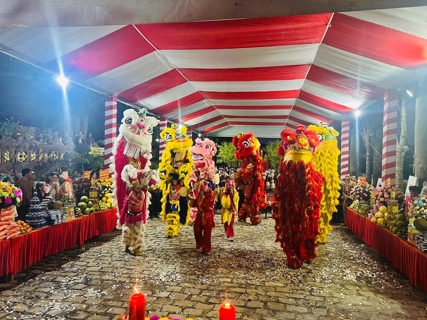 Đội Lân Sư Rồng